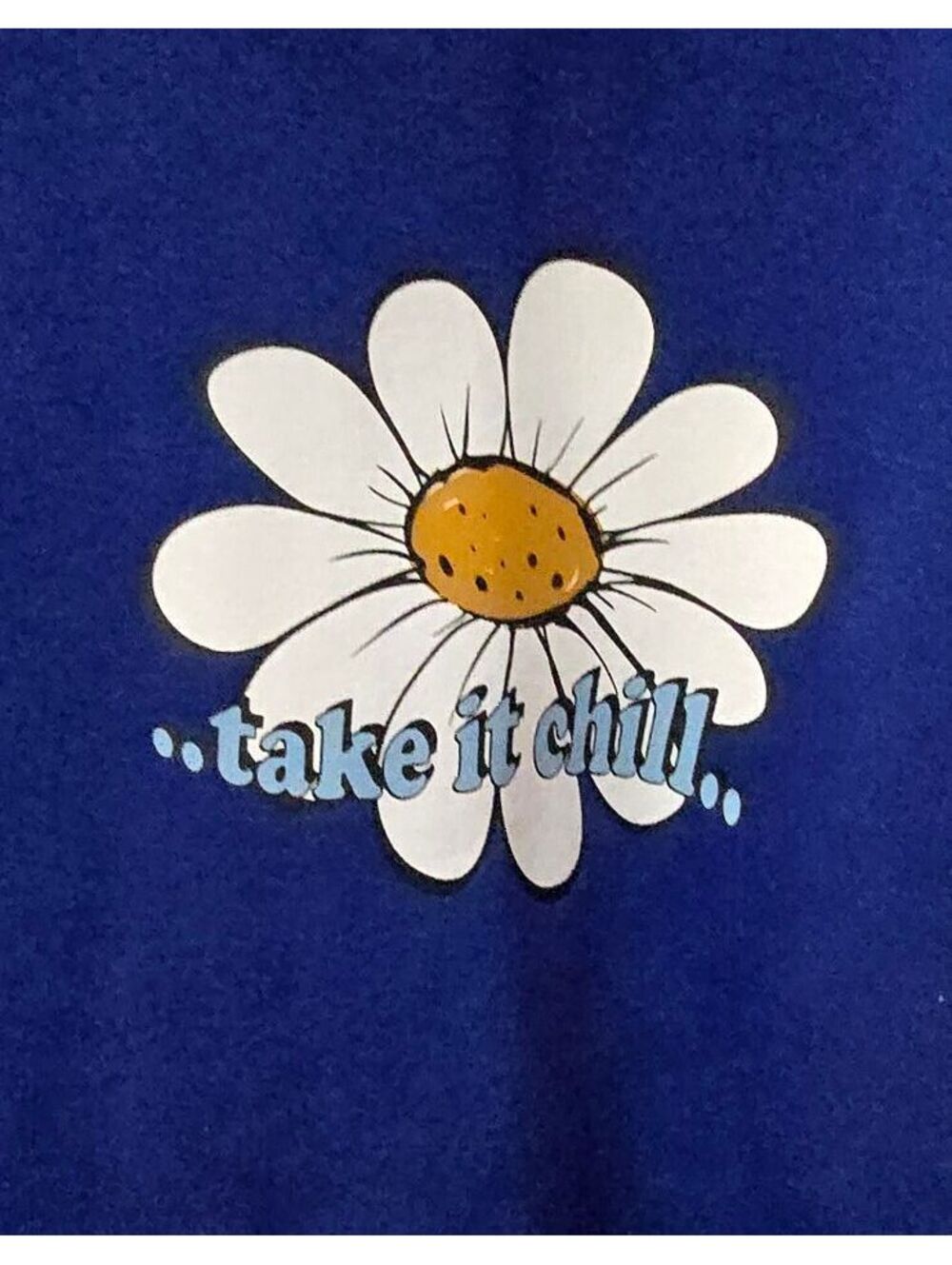 H&M Take It Chill Daisy Graphic Hoodie Blue XXL Relaxed Fit - Picture 4 of 7